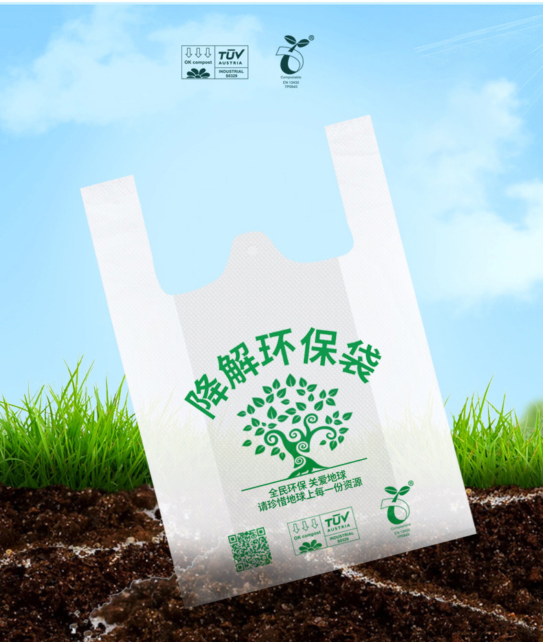 Biodegradable Shopping Bag (I)