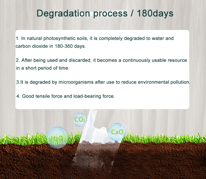 Tas Belanja Biodegradable (1)