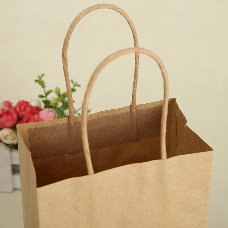 Twist Handle Kraft Bags (2)