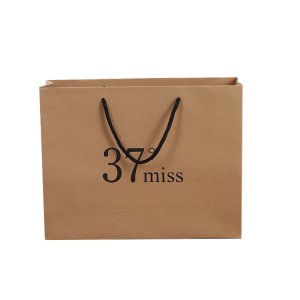 https://www.zxeco-packaging.com/bruin-kraftpapier-gift-bags-bulk-with-twist-handle-paper-carrier-bags-product/