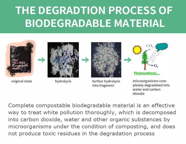Biodegradable Shipping Bags (3)