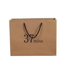 https://www.zxeco-packaging.com/brown-kraft-paper-gift-bags-bulk-with-twist-handle-paper-carrier-bags-product/