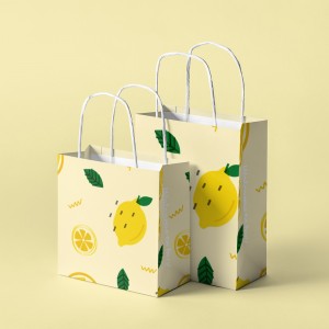 flat handle paper bag