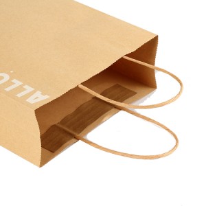 paper bag with rope